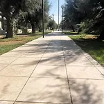 Di Torre Inserraglio *