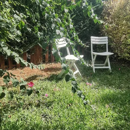 Di Torre Inserraglio