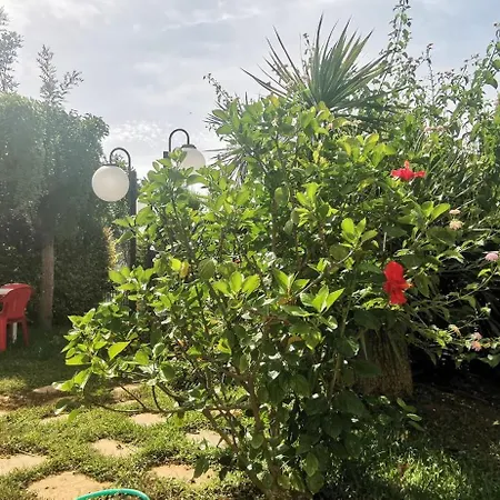 Di Torre Inserraglio *